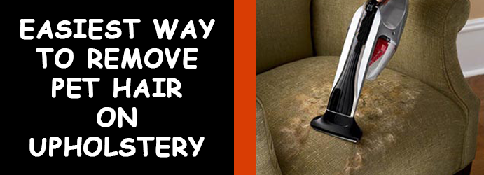 Remove Pet Hair on Upholstery Melbourne